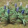 Grape Hyacinth (Muscari) -- pkg(18), O, JTT Miniature Tree 95599