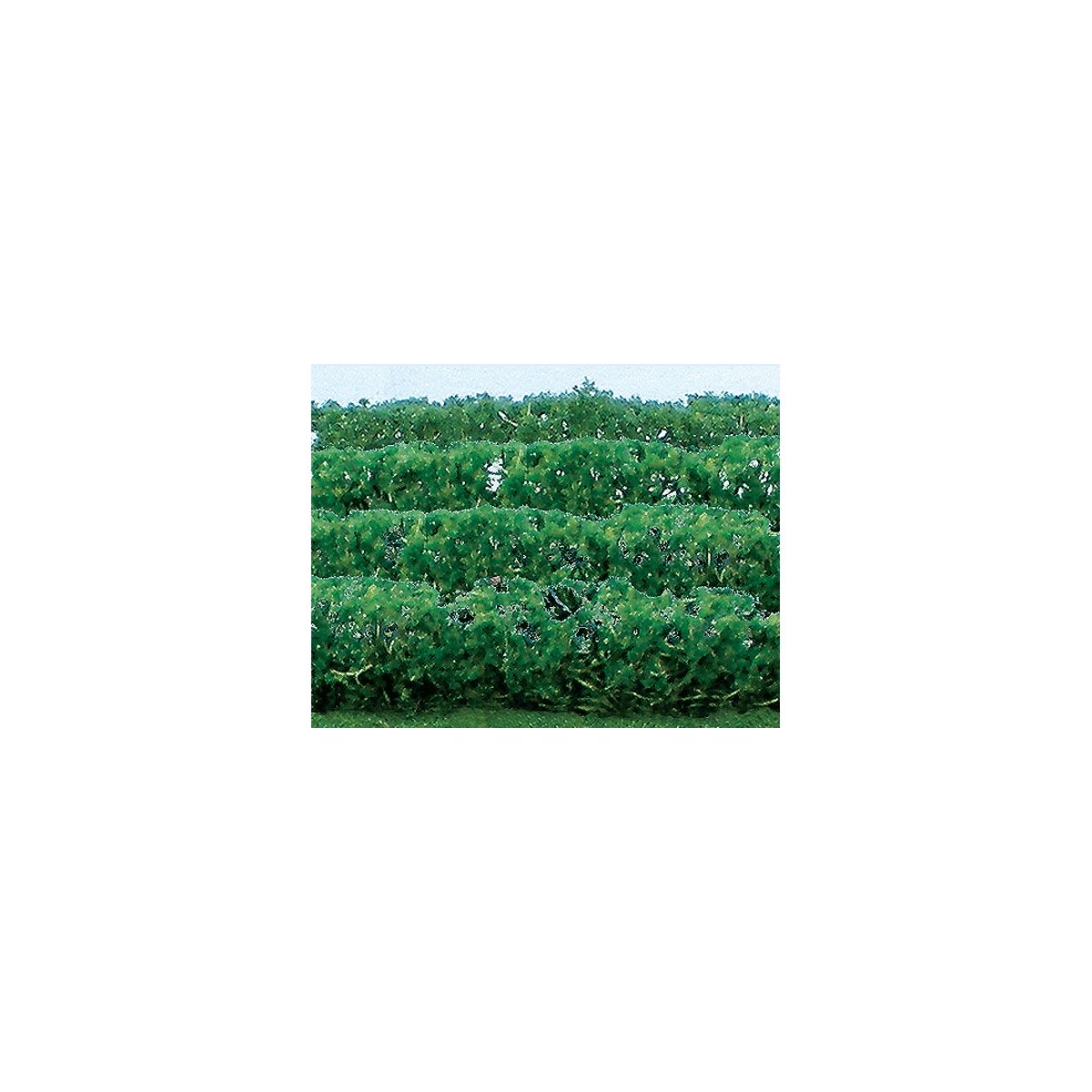 Flowering Hedges - 8 Pieces - Each 4-1/2 x 3/8 x 5/8′ 12 x 1 x 1.6cm -- Green, HO, JTT Miniature Tree 95515