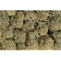 Lichen Single Pack - 1oz 28.3g -- Stone Gray, All Scales, Noch Gmbh & Co 8600