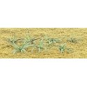 Ferns -- 5/8′ 1.6cm Wide pkg(12), HO, JTT Miniature Tree 95533