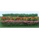 Flower Hedges - 5 x 3/8 x 5/8′ 12.7 x 1 x 1.6cm pkg(8) -- Green & Assorted Blossom Blended, HO, JTT Miniature Tree 95510