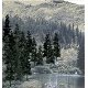 Coniferous Tree Pack - Ready Made Trees(TM) -- 4 to 6′ 10.2 to 15.2cm pkg(24), All Scales, Woodland Scenics 1581