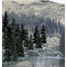 Coniferous Tree Pack - Ready Made Trees(TM) -- 4 to 6′ 10.2 to 15.2cm pkg(24), All Scales, Woodland Scenics 1581