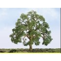 Professional Series Live Oak Trees -- 3′ 7.6cm Tall pkg(2), HO, JTT Miniature Tree 94350