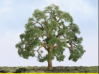 Professional Series Live Oak Trees -- 3′ 7.6cm Tall pkg(2), HO, JTT Miniature Tree 94350