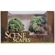 SceneScapes(TM) Layout-Ready Trees -- Oak Trees 4-1/2 - 5′ Tall pkg(2), All Scales, Bachmann Industries 32213