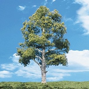 Woodland Classic Trees(R) Ready Made - Waters Edge -- 2 to 3′ 5.1 to 7.6cm Tall pkg(4), All Scales, Woodland Scenics 3533