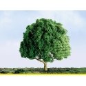 Oak Trees - Professional Series -- 3′ 7.6cm Tall pkg(2), HO, JTT Miniature Tree 94264