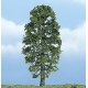 Ready Made Premium Trees(TM) - Deciduous -- Basswood - 4-1/2′ 11.4cm, All Scales, Woodland Scenics 1618