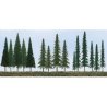 Evergreen Tree Bulk Pack -- 2-1/2 to 6′ 6.4 to 15.2cm pkg(45), All Scales, JTT Miniature Tree 92117