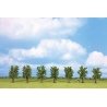 Classic Series Deciduous Tree Economy Pack -- Green 3-1/8′ 8cm Tall pkg(7), All Scales, Noch Gmbh & Co 25088