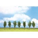 Classic Series Deciduous Tree Economy Pack -- Poplar 4-3/4′ 12cm Tall pkg(7), All Scales, Noch Gmbh & Co 25098
