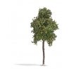Sycamore Tree -- Late Summer 6-11/16′ 17cm Tall, HO, Busch Gmbh & Co Kg 3793