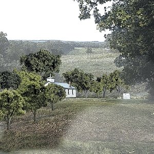 Mixed Green Deciduous Tree Pack - Ready Made Trees(TM) -- 3/4 to 2′ 1.9 to 5.1cm pkg(38, All Scales, Woodland Scenics 1570