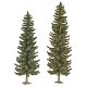 Spruce Trees pkg(2) -- 6-13/16 & 7-13/16′ 170 & 195mm Tall, HO, Busch Gmbh & Co Kg 6134