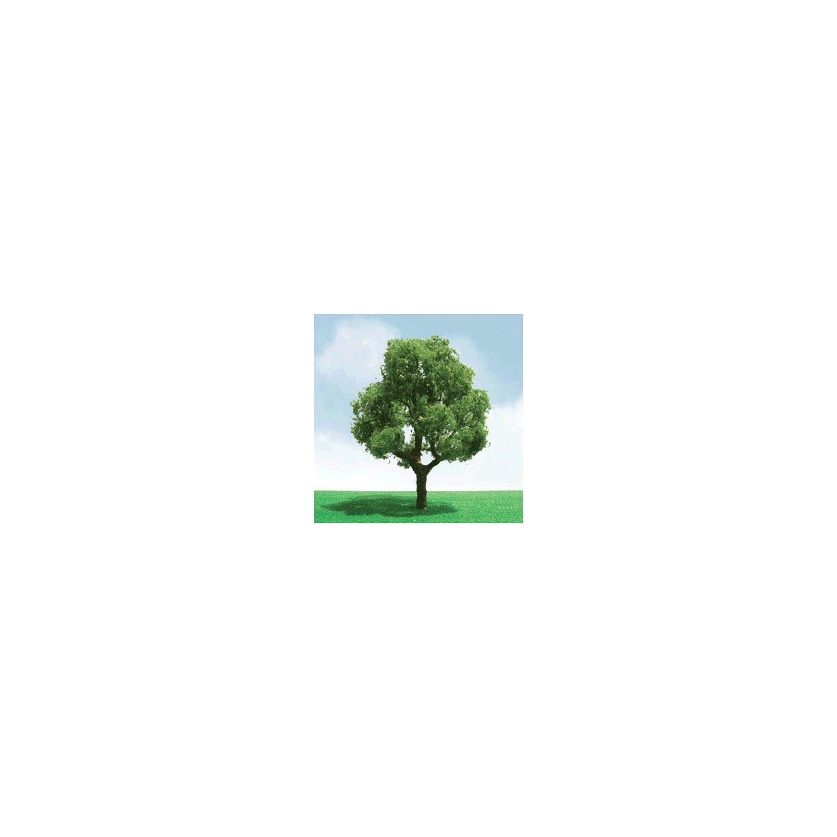 Deciduous Trees - Pro Elite -- 5-1/2′ 14cm, O, JTT Miniature Tree 92401