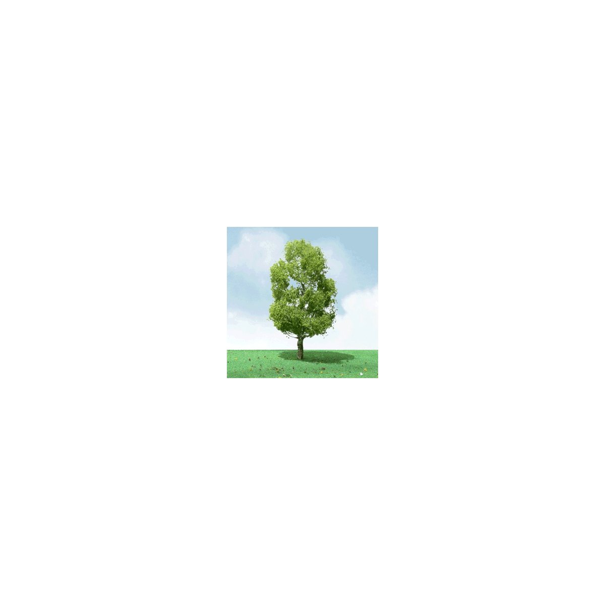Birch Trees - Pro Elite -- 2 - 2-1/4′ 5.1 - 5.7cm pkg(3), N, JTT Miniature Tree 92209