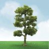 Downy Birch Trees - Pro Elite -- 6′ 15.2cm, O, JTT Miniature Tree 92406