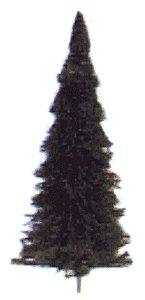 Pine Trees -- 3 Each: 2-1/2, 3 & 3-1/2` 6, 7.5 & 9cm 2 Each: 2, 4-1/2 & 5-1/2` 5,11,, All Scales, Busch Gmbh & Co Kg 6470