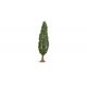 Poplar Tree - Master -- 7-1/16′ 18cm Tall, All Scales, Noch Gmbh & Co 20130