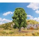 Oak Tree -- 7-1/16′ 18cm Tall, All Scales, Faller Gmbh 181573