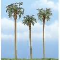 Ready Made Premium Trees(TM) -- Royal Palm - 1 Each: 4-5/8, 3-1/2 & 4′ 11.7, 8.9 & 10.2, All Scales, Woodland Scenics 1617