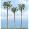 Ready Made Premium Trees(TM) -- Royal Palm - 1 Each: 4-5/8, 3-1/2 & 4′ 11.7, 8.9 & 10.2, All Scales, Woodland Scenics 1617