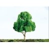 Deciduous Trees - Professional Series -- 1-1/2′ 3.8cm pkg(4), N, JTT Miniature Tree 94297