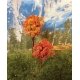 Fall Oak Tree -- 2 to 3′ 5.1 to 7.6cm pkg(4), All Scales, Grand Central Scenery T20