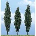 Ready Made Premium Trees(TM) - Deciduous -- Poplar - 1 Each 3-1/2, 4 & 4-1/2′ 8.9, 10.2, All Scales, Woodland Scenics 1611