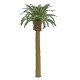 Professional Series Phoenix Palm Tree -- 6′ 15.2cm Tall, O, JTT Miniature Tree 96044
