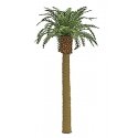Professional Series Phoenix Palm Tree -- 6′ 15.2cm Tall, O, JTT Miniature Tree 96044