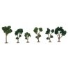 Deciduous Trees - Super Scenic Series -- Green 1-1/2 - 2′ 3.8 - 5.1cm pkg(10), All Scales, JTT Miniature Tree 92128