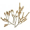 Foliage Branches - 1-1/2 to 3′ 3.8 to 7.6cm pkg(60) -- Dry Leaves, All Scales, JTT Miniature Tree 95522