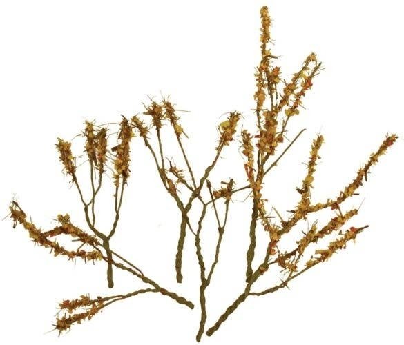 Foliage Branches - 1-1/2 to 3′ 3.8 to 7.6cm pkg(60) -- Dry Leaves, All Scales, JTT Miniature Tree 95522
