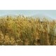 Wheat Stalks pkg(40), All Scales, JTT Miniature Tree 95637