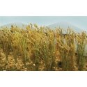 Wheat Stalks pkg(40), All Scales, JTT Miniature Tree 95637