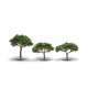 Coniferous Canopy Trees - Woodland Classics(R) -- 2-5/16 to 3-5/16′ 5.8 to 8.4cm Tall p, All Scales, Woodland Scenics 3555