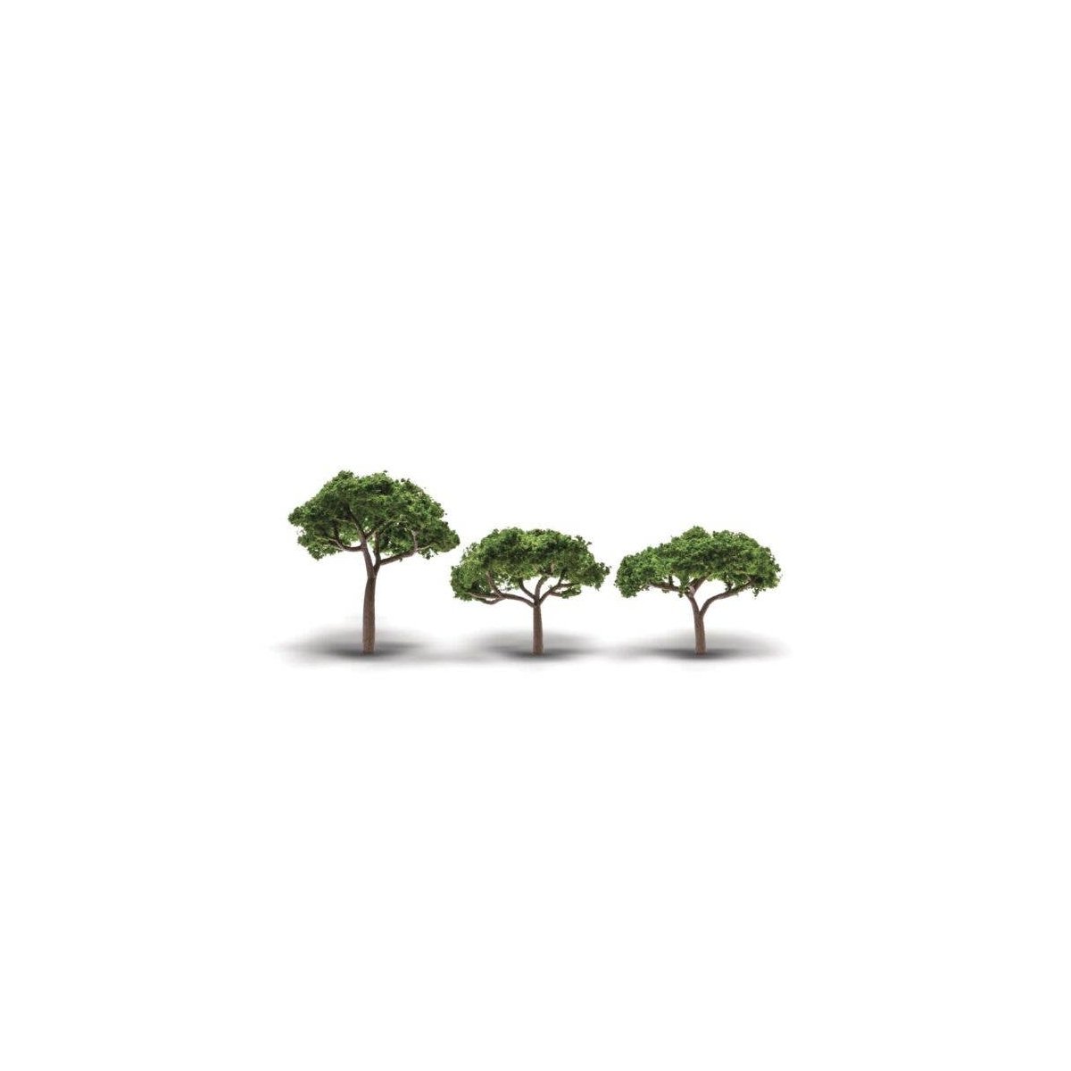 Coniferous Canopy Trees - Woodland Classics(R) -- 2-5/16 to 3-5/16′ 5.8 to 8.4cm Tall p, All Scales, Woodland Scenics 3555