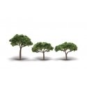 Coniferous Canopy Trees - Woodland Classics(R) -- 2-5/16 to 3-5/16′ 5.8 to 8.4cm Tall p, All Scales, Woodland Scenics 3555