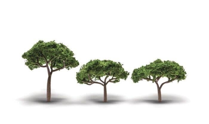 Coniferous Canopy Trees - Woodland Classics(R) -- 2-5/16 to 3-5/16′ 5.8 to 8.4cm Tall p, All Scales, Woodland Scenics 3555