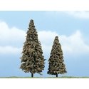 Ready Made Premium Trees(TM) -- Conifer - 3 to 4′ 7.6 to 10.2cm pkg(2), All Scales, Woodland Scenics 1625
