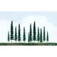 Pine Trees -- 4-6′ 10.2 - 15.2cm pkg(24), All Scales, JTT Miniature Tree 92011