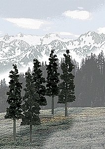 Coniferous Tree Pack - Ready Made Trees(TM) -- 6 to 8′ 15.2 to 20.3cm pkg(12), All Scales, Woodland Scenics 1582