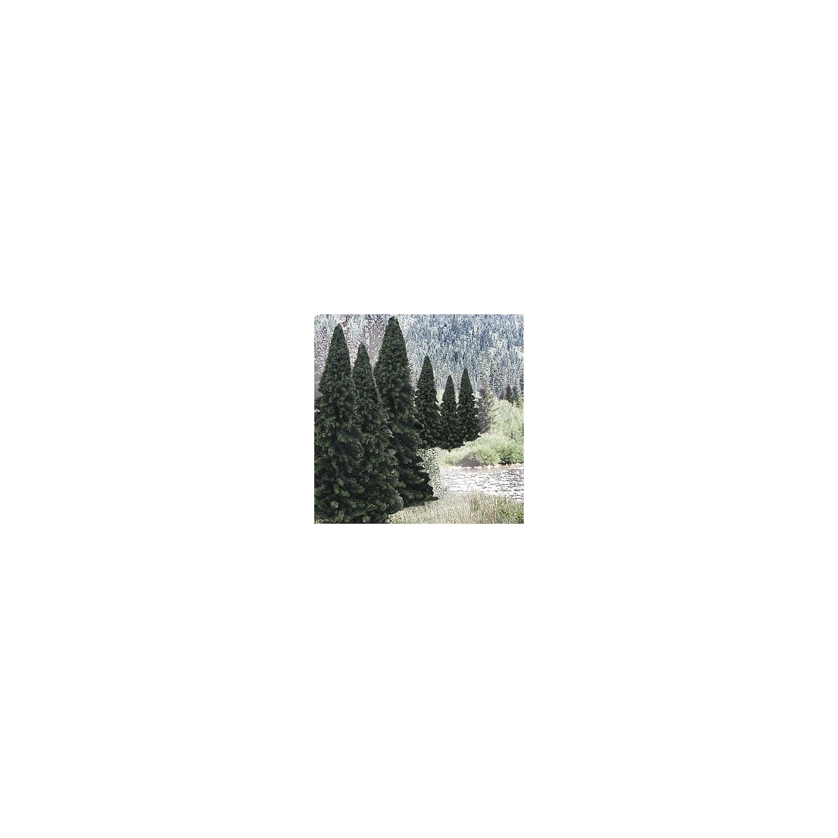 Evergreen Tree Value Pack - Ready Made Trees(TM) -- 2 to 4′ 5.1 to 10.2cm pkg(18), All Scales, Woodland Scenics 1585