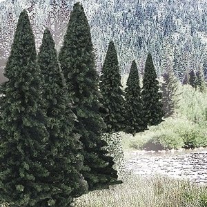 Evergreen Tree Value Pack - Ready Made Trees(TM) -- 2 to 4′ 5.1 to 10.2cm pkg(18), All Scales, Woodland Scenics 1585