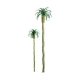 Professional Series Palm Trees -- 8′ 22.9cm Tall pkg(2), O, JTT Miniature Tree 96009