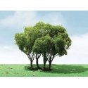Privet Trees -- 1-3/4 - 2′ 4.4 - 5.1cm Tall pkg(3), All Scales, JTT Miniature Tree 92203