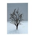 Tree w/Dry Foliage (Late Fall) -- 3-1/2 to 4′ 8.9 to 10.2cm pkg(2), O, JTT Miniature Tree 92322