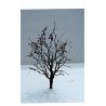 Tree w/Dry Foliage (Late Fall) -- 3-1/2 to 4′ 8.9 to 10.2cm pkg(2), O, JTT Miniature Tree 92322